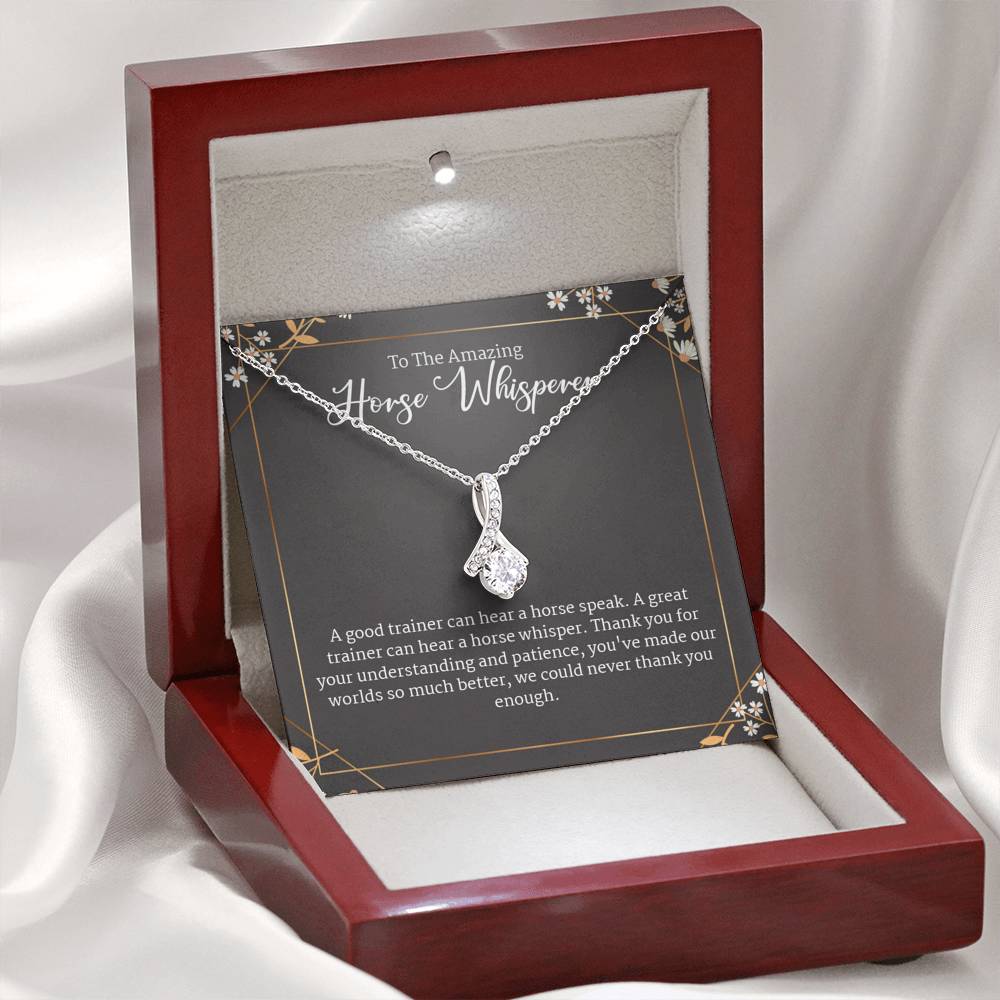 Horse Trainer Gift. Gift For Equestrian Trainer Necklace Jewelry Gift Box Set