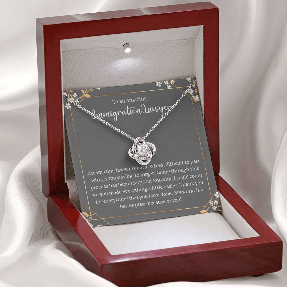 Gift For Immigration Lawyer, Thank You Gift Necklace